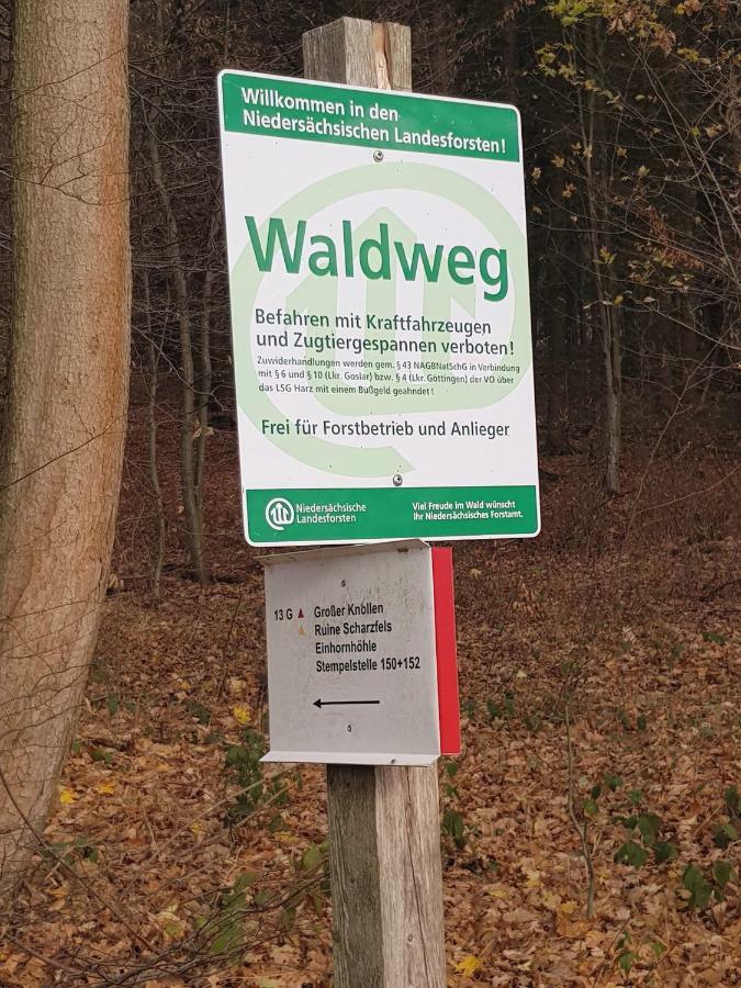 Ferienwohnung "Hagebutze" Mit Sauna Und Schwimmbad Bad Lauterberg Exterior photo